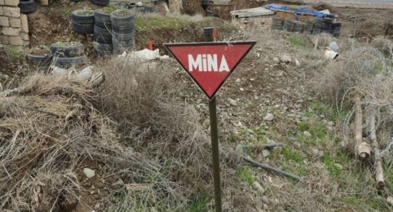 XİN 2020-ci ildən bu günədək mina hadisələrində həlak olanların sayını açıqladı