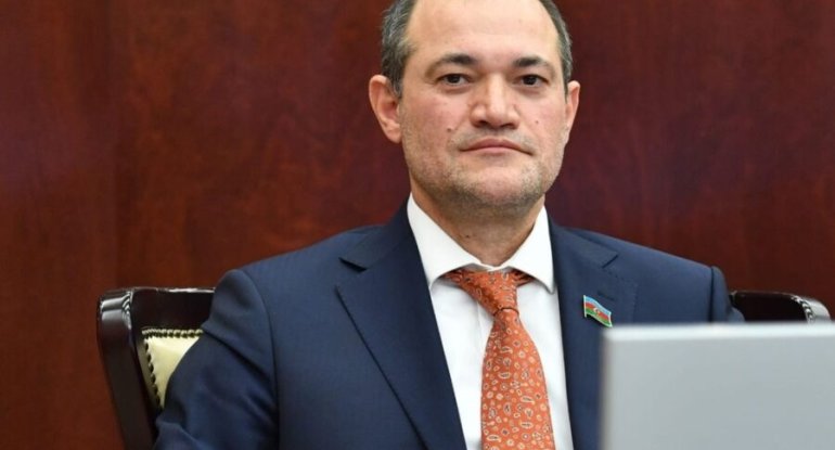 Ən ciddi problemlərdən biri əlillik təyinatı ilə bağlı yaranan çətinliklərdir - Deputat