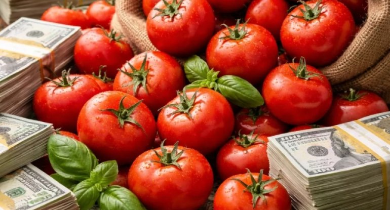 Azərbaycan pomidoru 25 milyon dollardan çox qazandırıb