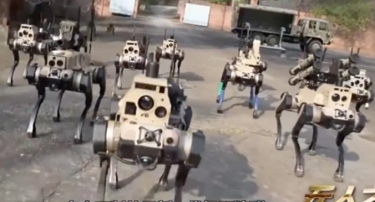 Çinin robot-itləri "canavar sürüsü"nə çevrildi: ortaq beyinlə idarə olunurlar - VİDEO