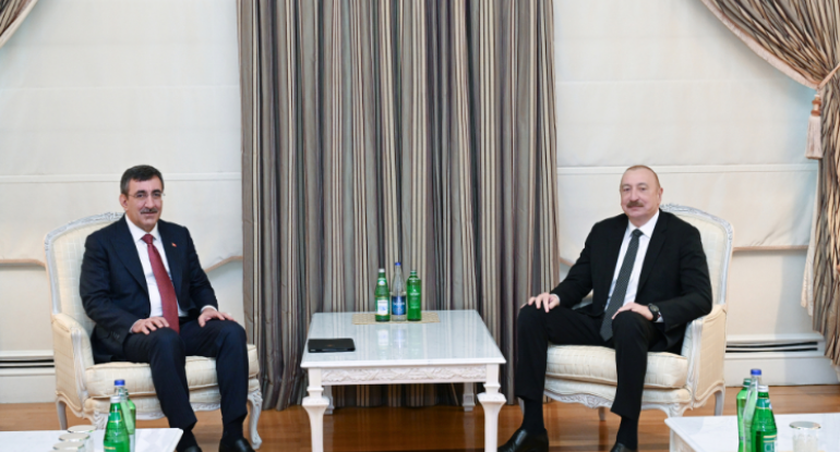 İlham Əliyev Türkiyənin Vitse-prezidentini qəbul edib
