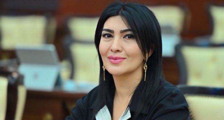 Dünyanın üzləşdiyi böhran, Bakının xilas modeli&nbsp;