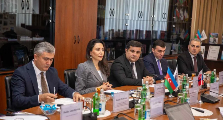 Azərbaycan və Slovakiya ombudsmanları əməkdaşlığı müzakirə ediblər