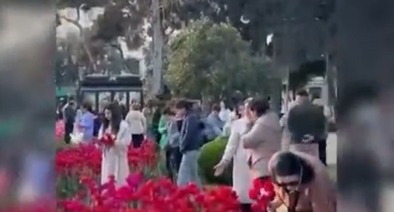 Bu dəfə&nbsp;gülləri qoparıb buket düzəltdilər - VİDEO