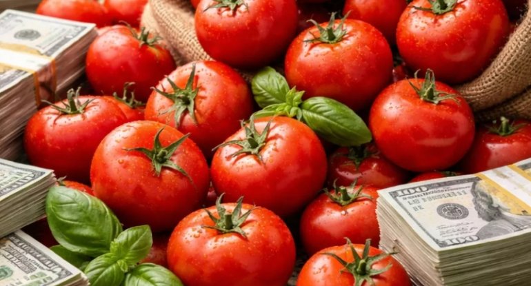 Azərbaycan pomidoru 45 milyon dollardan çox qazanc gətirib