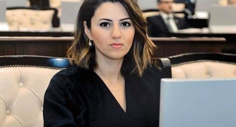 Deputat: Bu, təkcə hakimiyyət uğrunda seçki deyil, həm də ...