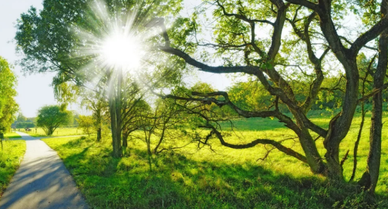 Apreldə Bakı və Abşeronda temperatur 21 gün normadan yuxarı olub - RƏSMİ