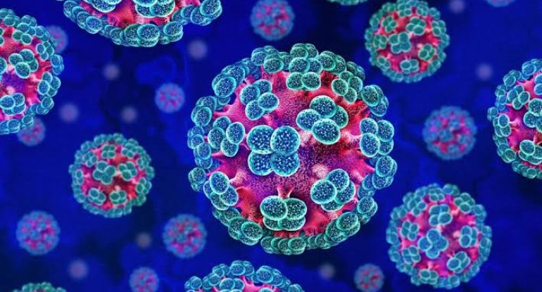 Hantavirus İspaniya və Britaniyaya məxsus arxipelaqda aşkarlanıb