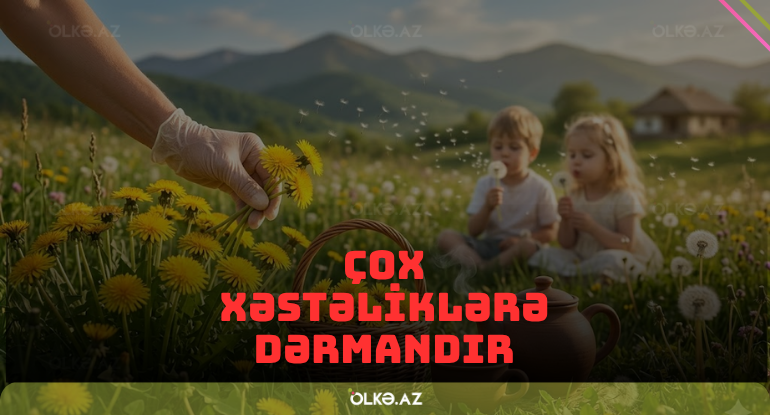 Bu bitkini sadəcə üfləməyin həm də dəmləyib için &ndash;&nbsp;Çox xəstəliklərə dərmandır