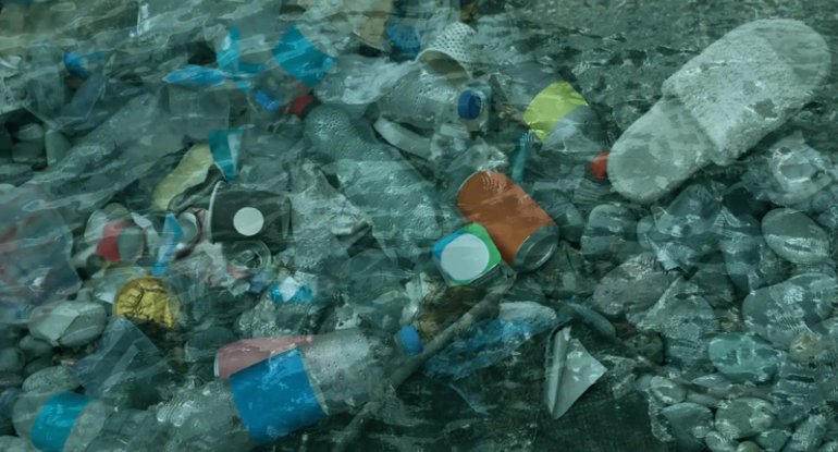 Alimlər əmrlə özünü məhv edən "canlı plastik" yaratdı