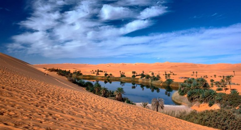 Afrika "Böyük yaşıl divar" tikir: Özlərini nədən qorunmaq istəyirlər?