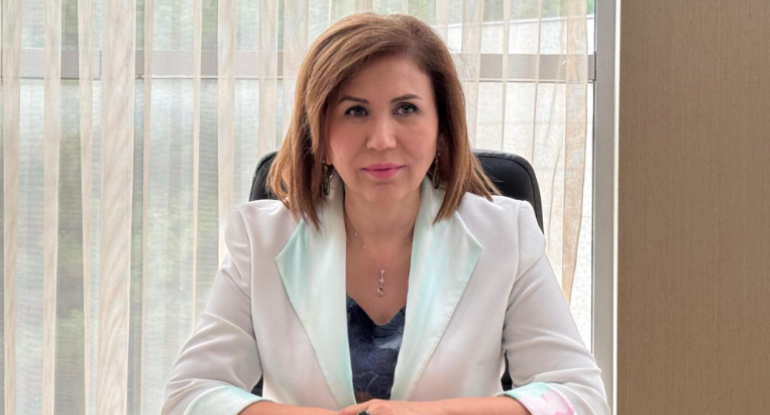 Komitə sədri: Məişət zorakılığının qurbanları üçün sığnacaqlar yetərli deyil
