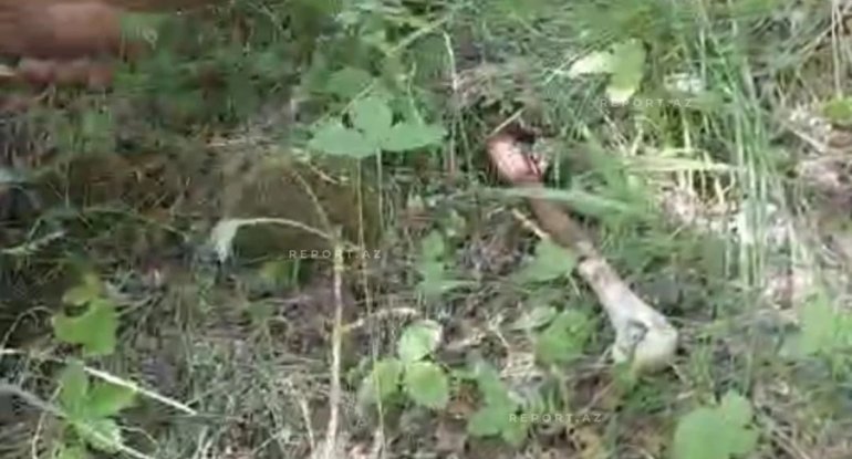 Ağdərədə itkin düşən ailəyə aid olduğu ehtimal edilən sümük fraqmentləri tapılıb