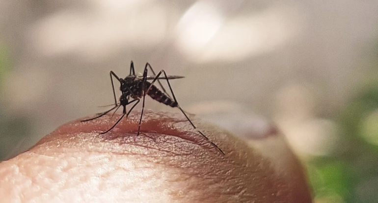 Qonşu ölkədə təhlükəli virus aşkarlandı