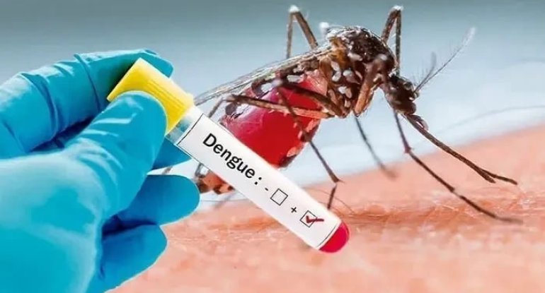 Qonşu ölkədə təhlükəli virus aşkarlandı &ndash; ilk denge hadisəsi qeydə alındı