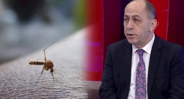 Buna görə Bakıda bu il ağcaqanad çoxdur &mdash; Adil Qeybulla