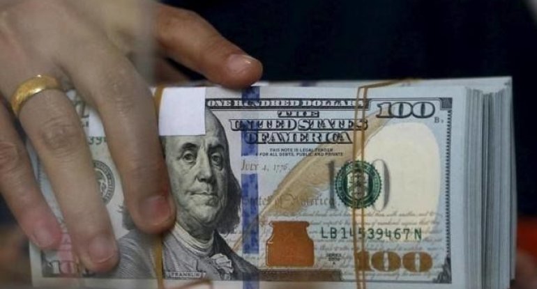 Xanım sahibkar ölkədən 200 min dollar çıxartdı