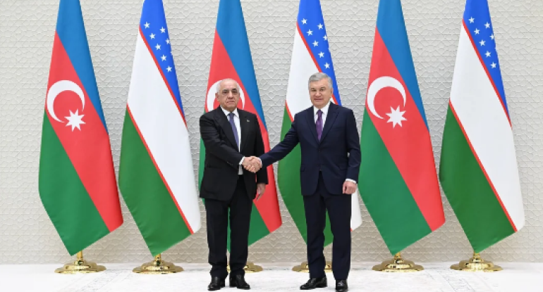 Əli Əsədov Özbəkistan Prezidenti ilə görüşüb