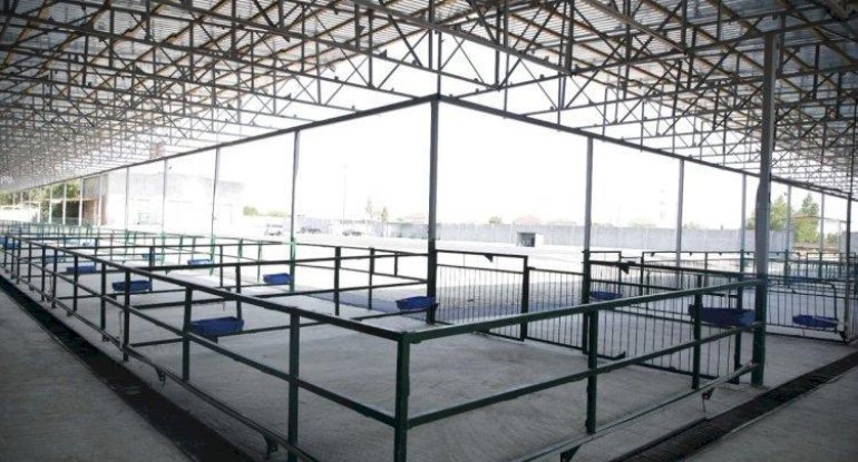 Bakıda yeni bazar fəaliyyətə başladı