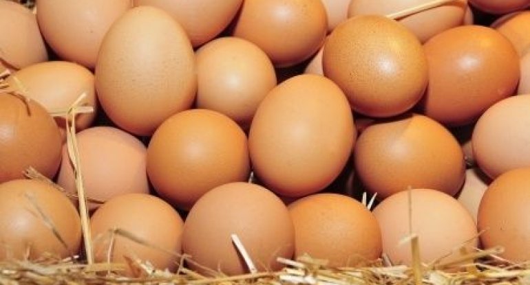 Yumurta bu səbəbdən kəskin ucuzlaşıb - AÇIQLAMA