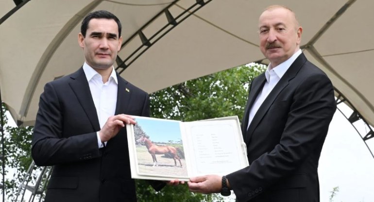 Türkmənistan Prezidentinə Qarabağ atı hədiyyə edilib