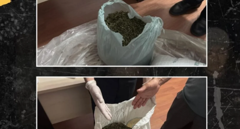 Meşədə külli miqdarda narkotik aşkarlandı