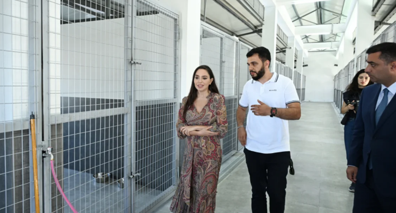 Yevlaxda Sahibsiz Heyvanlara Qayğı Mərkəzinin regional bölməsi açıldı