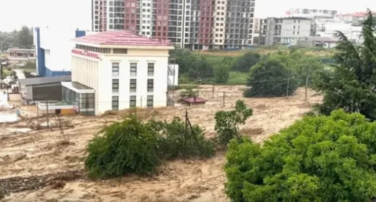 Gürcüstanda təbii fəlakət: Telavini su basdı, körpü uçdu