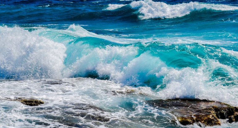 Alimlər suyun beyin və psixologiyaya təsirini araşdırırlar