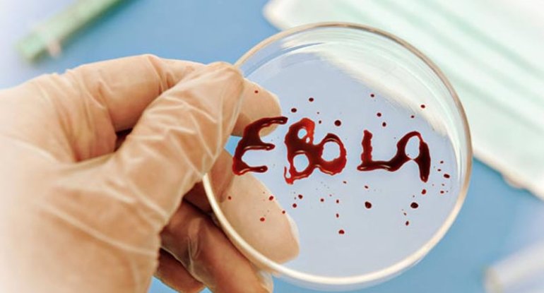 Eboladan ölənlərin sayı durmadan artır