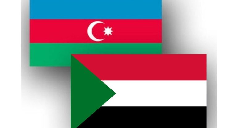 Azərbaycanla Sudan bu şəxsləri vizadan qarşılıqlı azad etdi