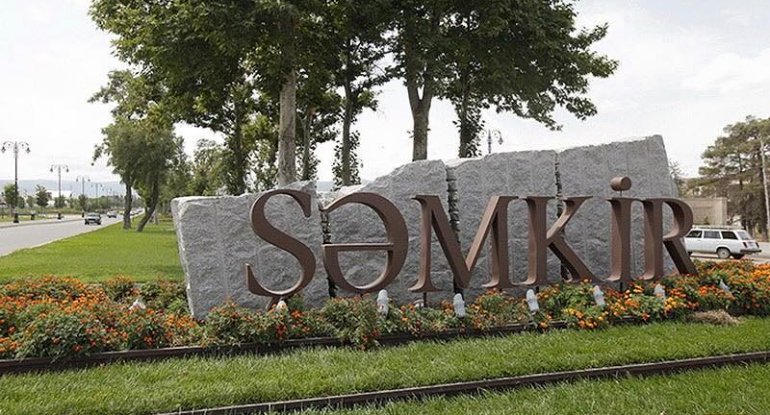 Şəmkirdə 12 yaşlı bacısını bıçaqlayan qızın fotosu