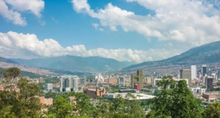 880 min ağac əkildi, şəhərdə temperatur bir neçə dərəcə aşağı düşdü