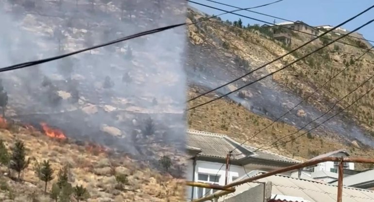 Səbaildə səhərdən başlayan yanğın davam edir: Külək alovu ətrafa yayır