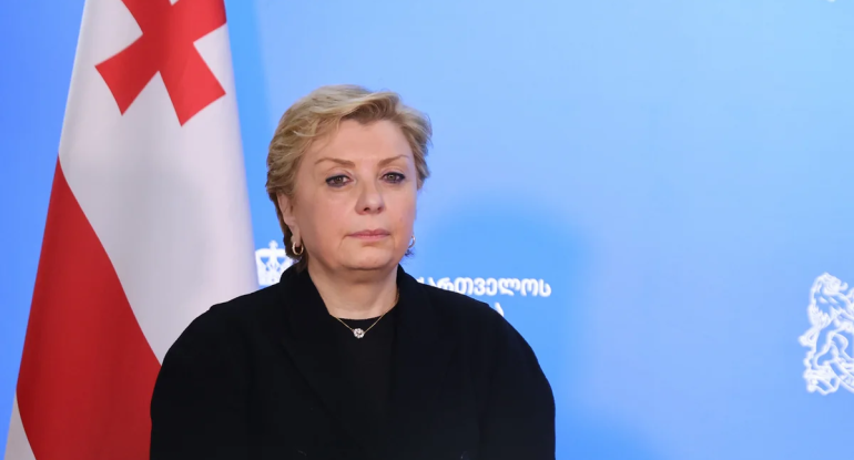 Gürcüstanın mədəniyyət naziri istefa verib