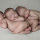 İlin 3 ayında 39 üçəm doğulub