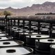 Gələn il Qazaxıstan Almaniyaya 1,2 milyon ton neft çatdıracaq