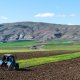 Qarabağ və Şərqi Zəngəzurdakı bu torpaqlar icarəyə veriləcək