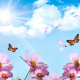 Sabah 33 dərəcə isti olacaq Sabah 33 dərəcə isti olacaq
