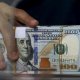 Xanım sahibkar ölkədən 200 min dollar çıxartdı