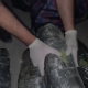 12 kiloqram narkotik vasitə qanunsuz dövriyyədən çıxarılıb 12 kiloqram narkotik vasitə qanunsuz dövriyyədən çıxarılıb