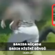 Bakıda küçədə qadın kişini döydü&nbsp;- İkisi də saxlanıldı - Video