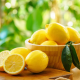 Limonu belə yesəniz arıqlayacaqsınız Limonu belə yesəniz arıqlayacaqsınız