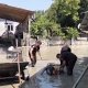 Nazirlik iki rayondakı durum barədə məlumat yaydı Nazirlik iki rayondakı durum barədə məlumat yaydı