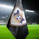 "Qarabağ" daha bir legioneri klubdan GÖNDƏRİR - FOTO