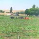 Ankarada helikopter qəzaya uğradı - Polkovnik öldü - YENİLƏNİB Ankarada helikopter qəzaya uğradı - Polkovnik öldü - YENİLƏNİB