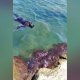 Mərdəkanda dənizdə batan 22 yaşlı oğlanın axtarışları davam etdirilir -&nbsp;VİDEO