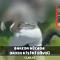 Bakıda küçədə qadın kişini döydü&nbsp;- İkisi də saxlanıldı - Video