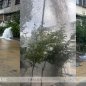 Bakıda boru partladı, küçəni su basdı - Video